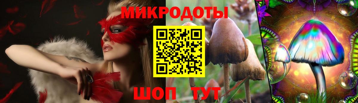 Курчалой  Псилоцибиновые грибы ЛСД  Вход с VPN 